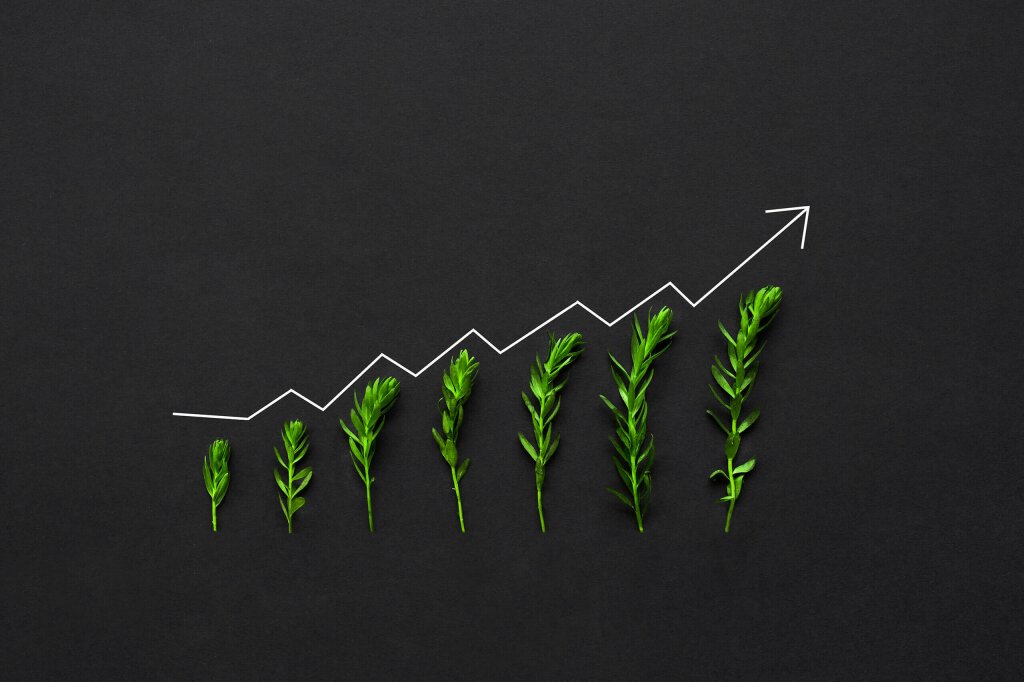 An upward trending graph that follows the growth of a crop. At each stage the crop gets higher and the graph follows the height upwards.
