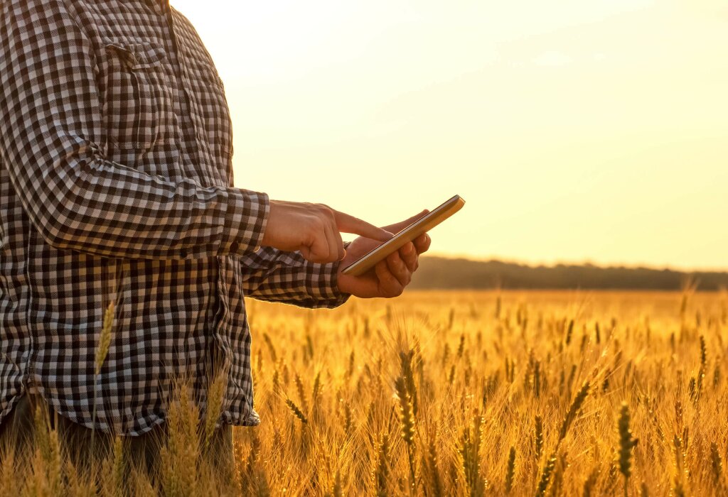 A man is standing in a golden field of corn. He is touching his tablet device.